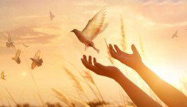 رهایی یک مادر از چوبه دار در کاشان
