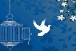 آزادی ۸ زندانی در زنجان با اجرای طرح نذر امام هشتم