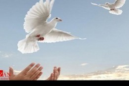 آزادی ۱۴۱ نفر از زندانیان جرائم غیرعمد زندانهای استان مرکزی در سال جاری