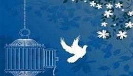 رهایی قاتل از کابوس چوبه ی دار پس از 8 سال