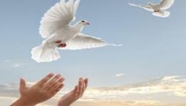 برگزاری جلسه ای به منظور جلب رضایت خانواده مقتول در فیروزکوه